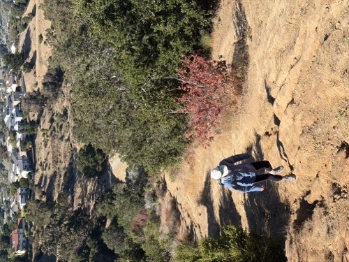 Hiking up a hillside trail